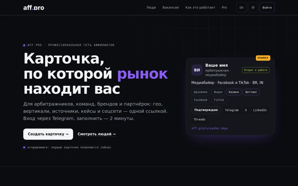 Превью сайта aff.pro